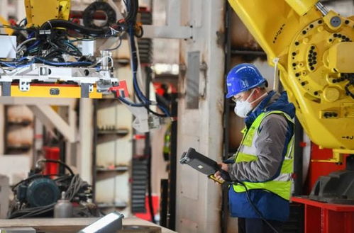 ?？飘厴I生的職業流向 數據揭示主流去向，過來人分享真實體會