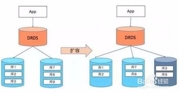 深入理解MySQL表設計規范與數據處理服務的關鍵關聯